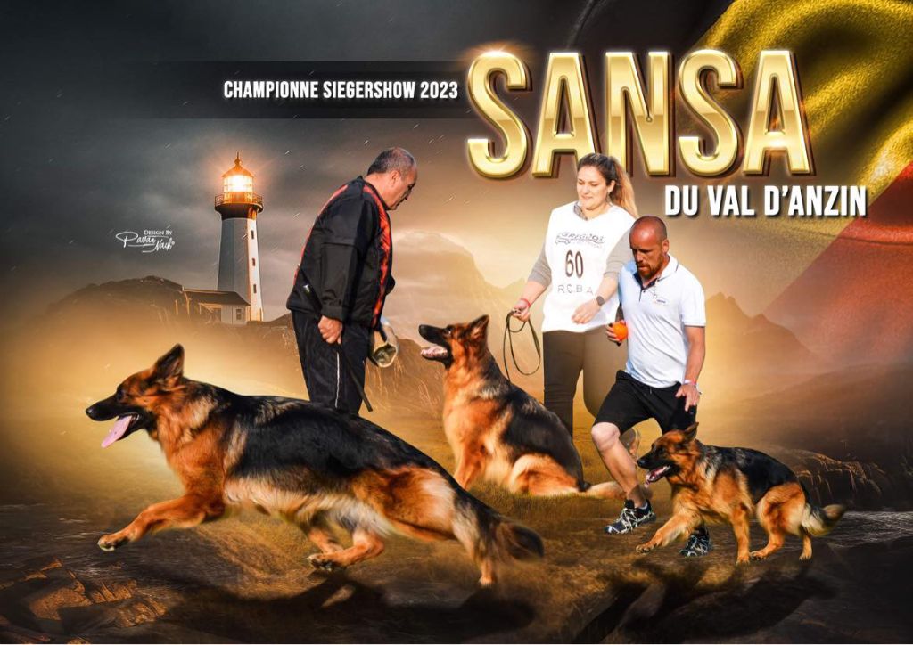 Du Royaume Des Trois Lions - SIEGERSHOW BELGIQUE 2023 : SANSA DU VAL D'ANZIN CHAMPIONNE DE BELGIQUE
